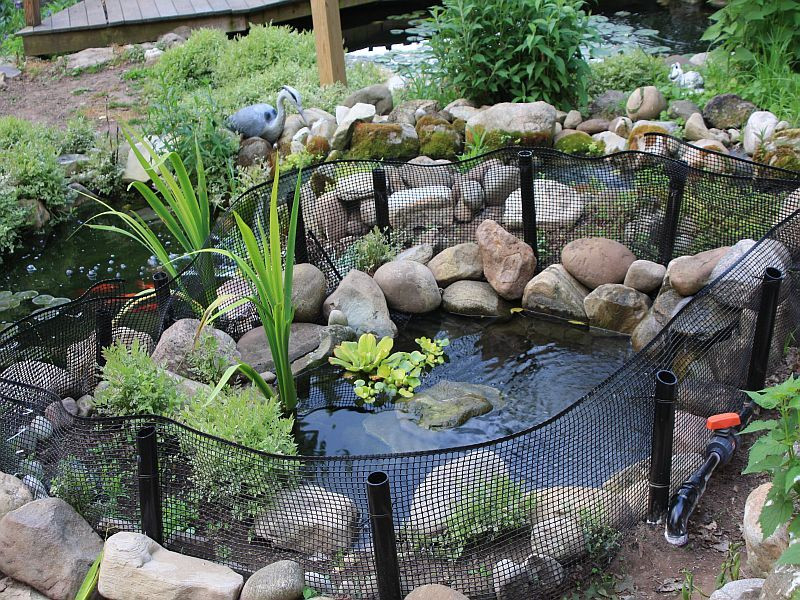 Turtle Backyard Pond
 Outdoor turtle pond I d love to my guys out of the