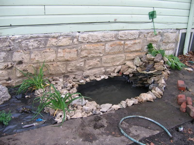 Turtle Backyard Pond
 Guide to Outdoor Ponds for Turtles Pond size structure