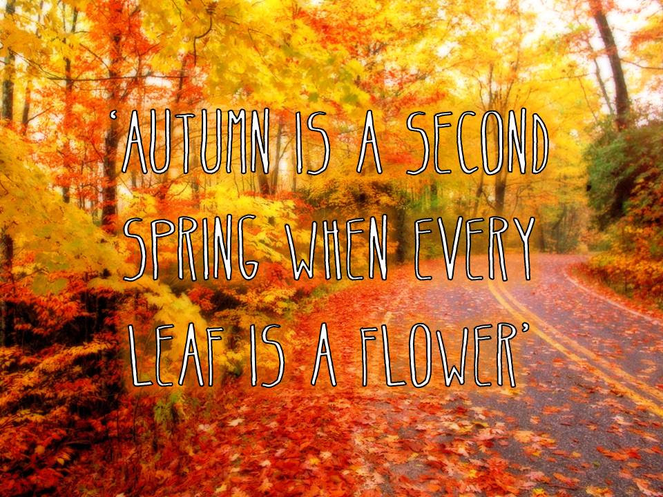 21 Best Fall Quotes Home, Family, Style and Art Ideas
