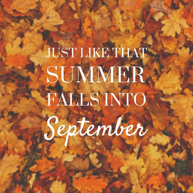 Welcome Fall Quotes
 Plymouth Yarn Blog