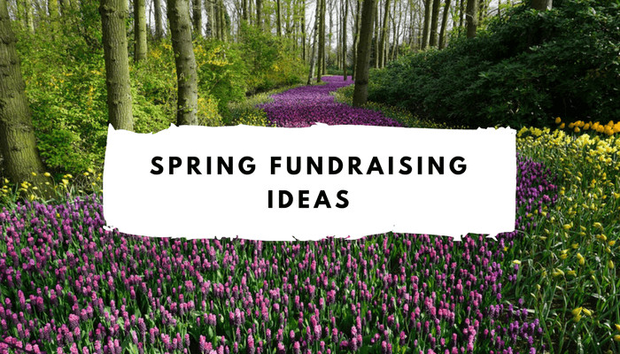 Winter Fundraiser Ideas
 Top 10 Spring Fundraising Ideas Spring Fundraiser Events