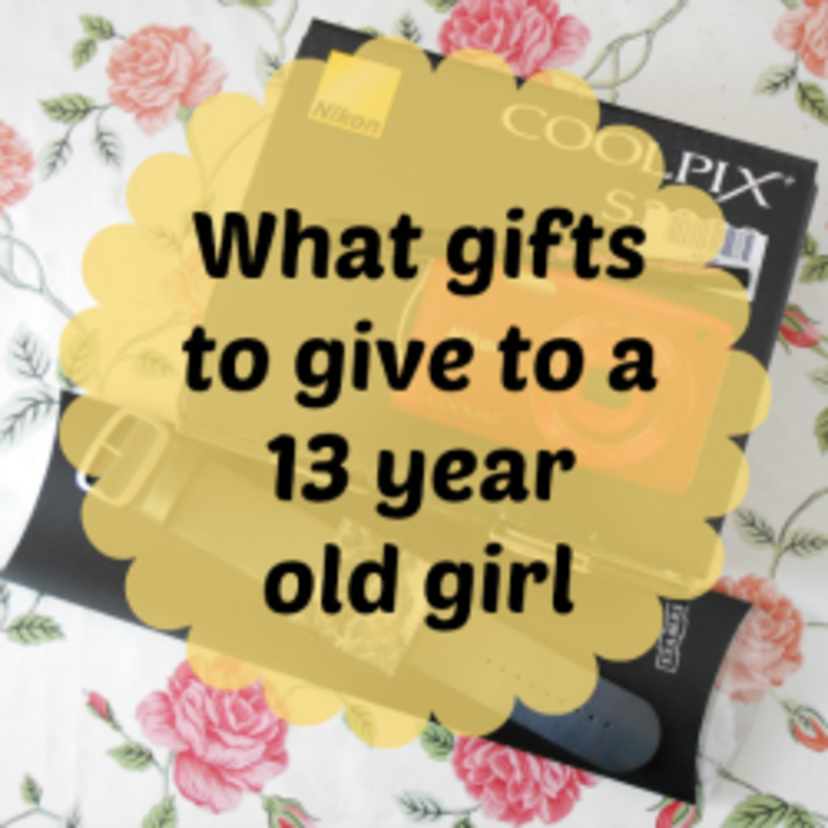 Gift Ideas For 13 Year Old Girls
 Best Gifts for a 13 Year Old Girl Lots of Ideas