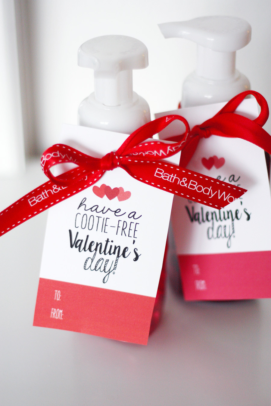 Valentines Day Gift Ideas Pinterest
 Valentine s Day Cootie Free Tags Eighteen25